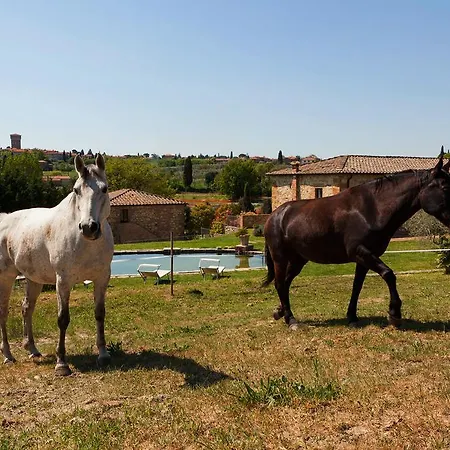 La Collina *