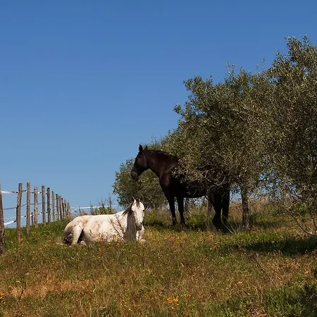 La Collina Landsted
